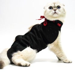 Petsuit Yara Koruyucu Korse Small