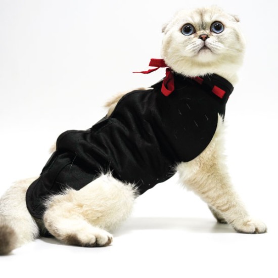 Petsuit Yara Koruyucu Korse Medium