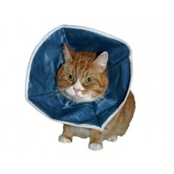 Buster Kedi İçin Yakalık