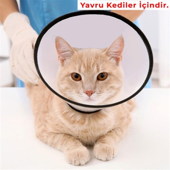 VetExtra Yakalık Dikişli 50 MM (Yavru Kediler İçin)